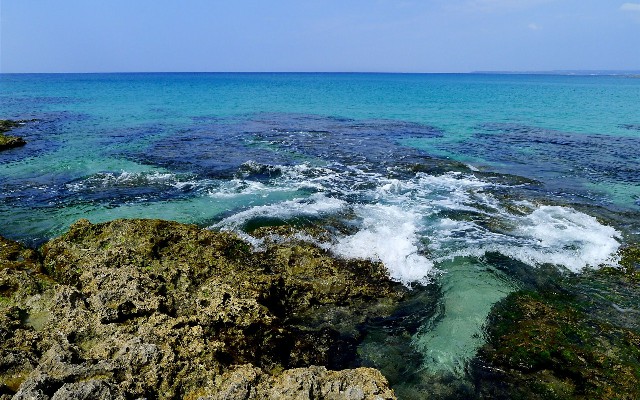 抖音月付米粉怎么提现_去小店套花呗