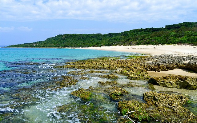 抖音支持月付商家收款吗_美团怎么提现花呗