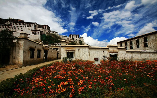 花呗借呗逾期247天_羊小咩一般几折提现