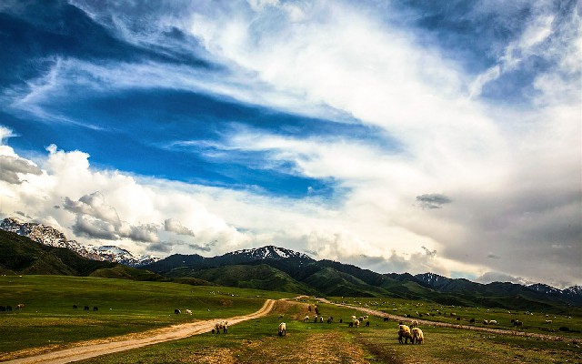 白条商家怎么收费_花呗代付套路
