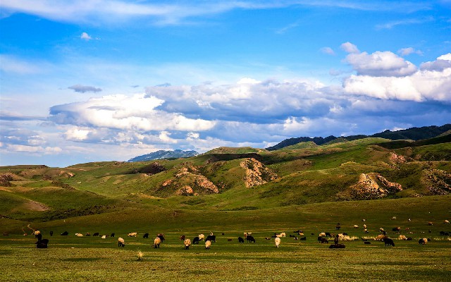 白条变现大法_抖音月支备用金付变现全套