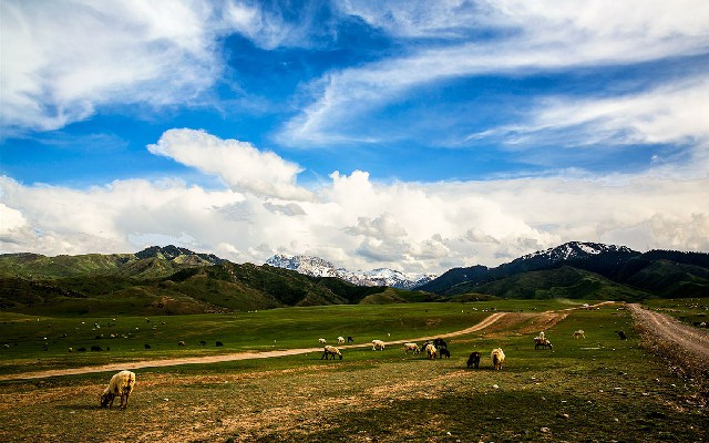 肇庆医保转出条件_京东白条取现每天利息