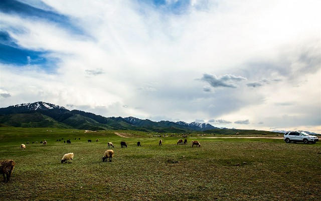 联通套餐花呗付款_网络花呗套线