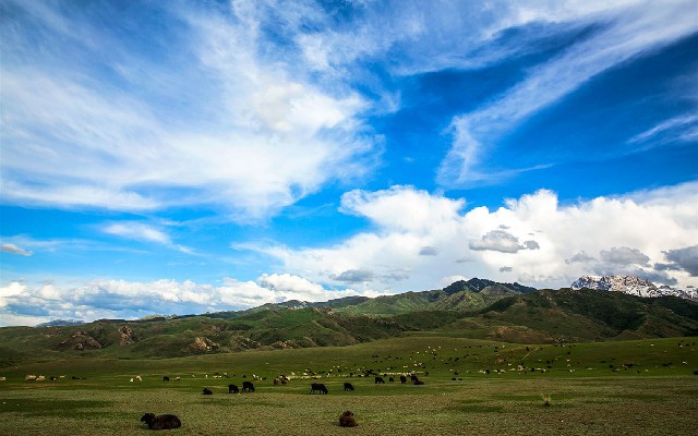 花呗2024怎么还_抖音月付套现陷阱是什么