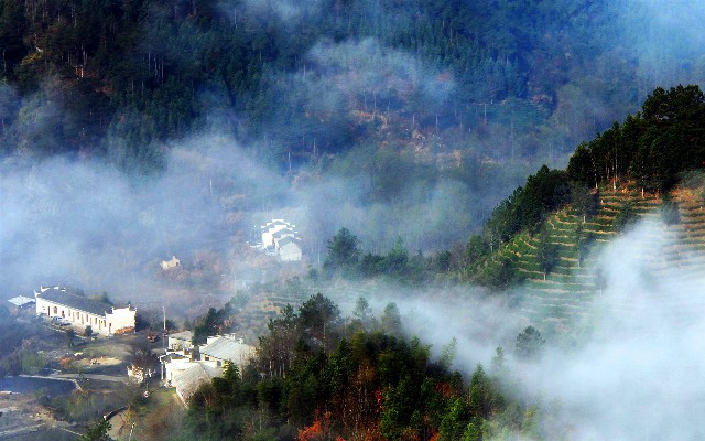 商家花呗怎么提款_怎样把花呗支付给商家用