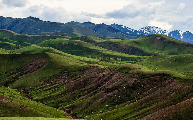 来客优白条套现_商家白条套现
