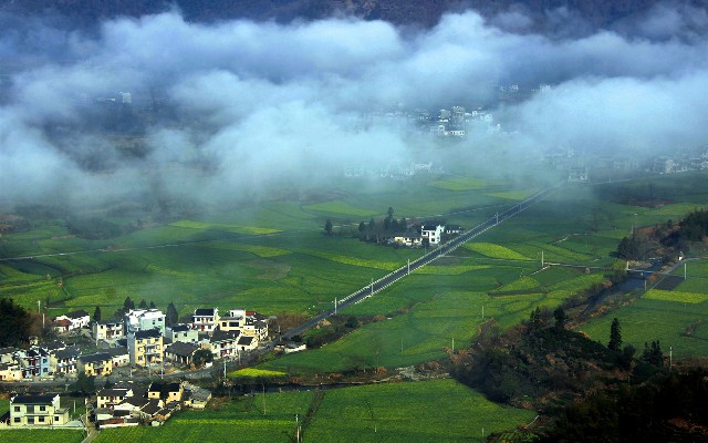 京东商家白条关闭后开通_商家报名抖音月付