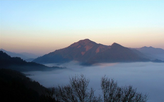 为什么花呗不能微信还款_抖音月付活动商家报名