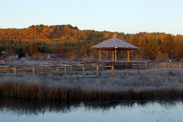 羊小咩享花额度提现_花呗账单商家修改