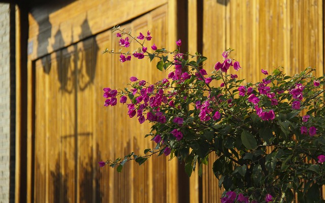 花呗套取现金多少限额_抖音月付对商家有影响吗