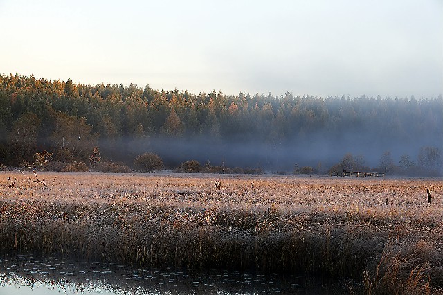 花呗分期多少次免费提现_京东白条实物套现