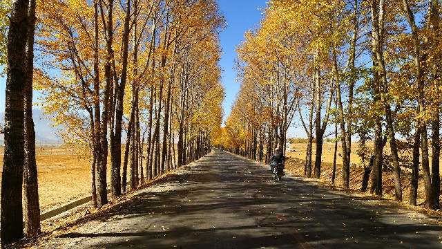 抖音月付额度取现利率_如何赚钱抖音月付提现