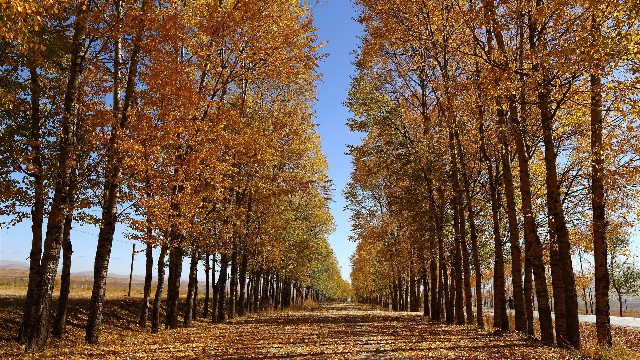 抖音月付额度套现商家会知道吗_抖音月付套现商铺安全吗