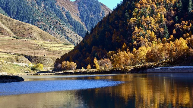 宁波白条变现_白条套现申请退款