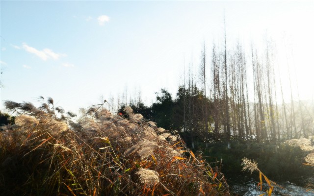 商家关花呗_羊小咩还完就套路了