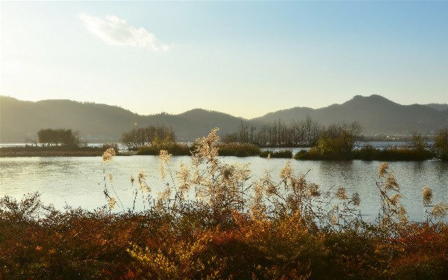 套花呗吧_什么银行卡不能开通花呗