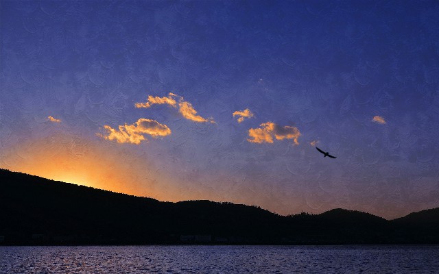 羊小咩消费额度怎么套出现金_京东白条卡提现额度