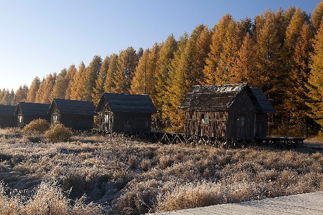 闲鱼上花呗套_商家不能用花呗当面花