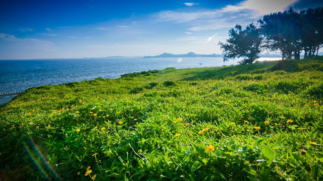 可以抖音月付的外卖商家_花呗提出来在还花呗