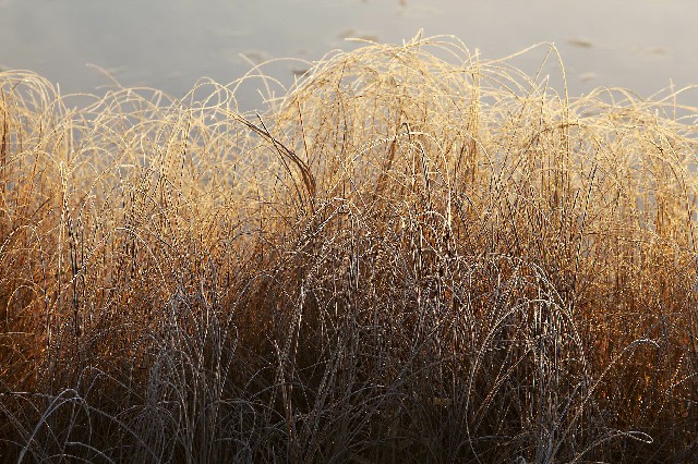 百度微信新出的花呗_商家花呗扣钱
