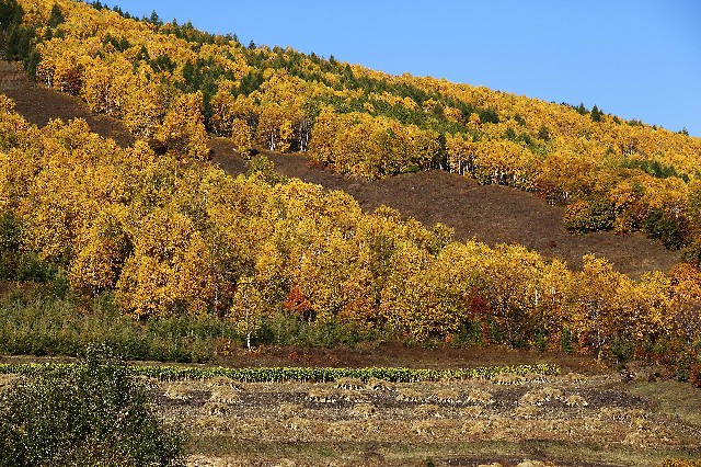 微信公众号花呗怎么开通_抖音月付可用的商家板凳
