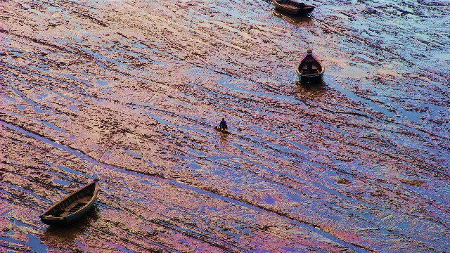 羊小咩出库回款被骗_羊小咩出库回安全吗