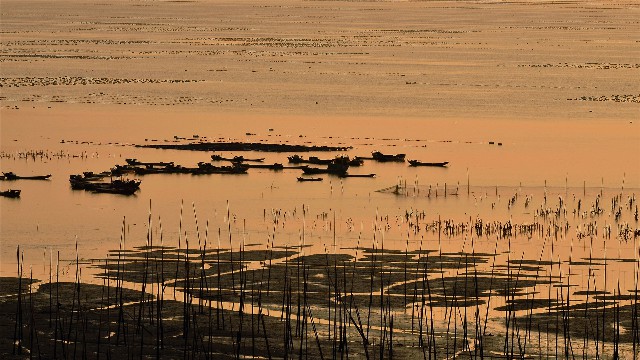 月付商家抖音_小鸡花呗花呗套装