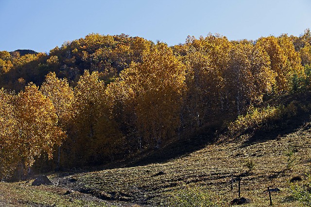 江宁医保卡套现_商家怎么关花呗分期付款