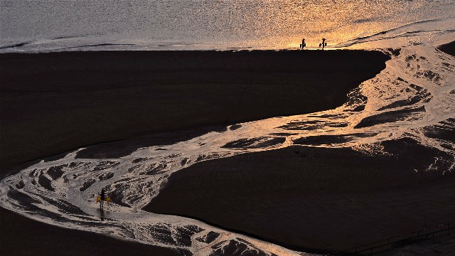 为什么商家不还白条分期_白条取现不分期要还多久