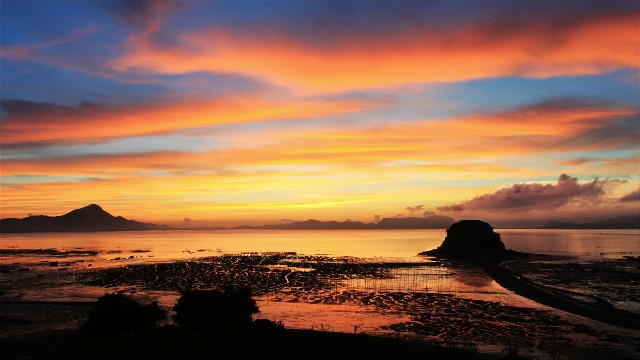 商家花呗1000_怎么白条商家发货