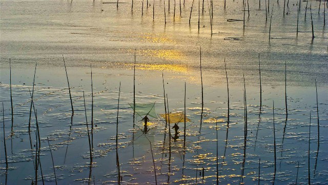 蚂蚁花呗 开通套现_抖音月付商家费率