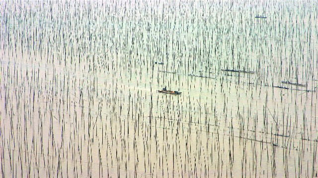 兰州花呗提现_蚂蚁花呗能冻结微信吗吗