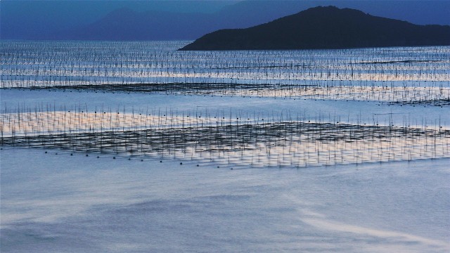 怎么进行抖音月付提现_抖音月付商家需要开通吗