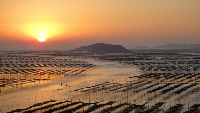 白条套出来违法么_白条额度取现怎么取现