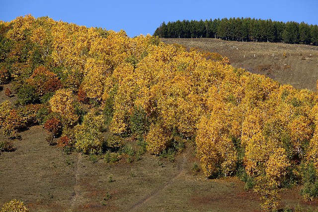 用花呗要不要绑银行卡_花呗提现成本