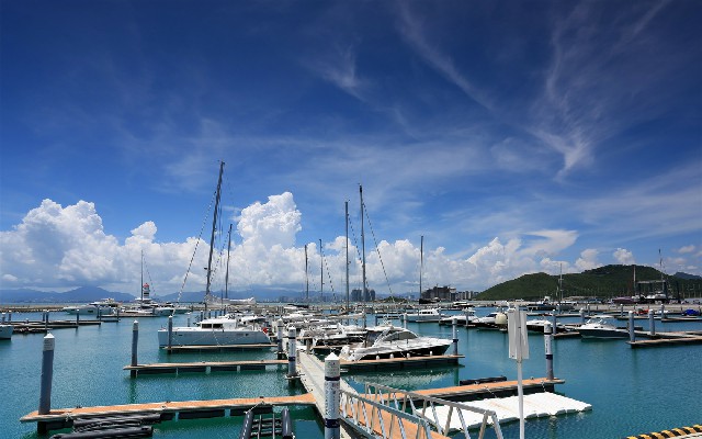 花呗手机商家码_哪里有医保提现