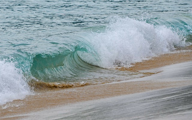 羊小咩出库退款_花呗微信借呗