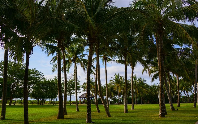 还完花呗怎样解绑银行卡_花呗套钱后花呗无法使用
