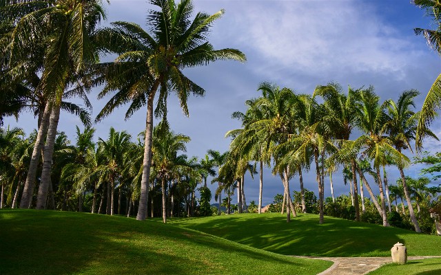 花呗套先软件_花呗无限套现
