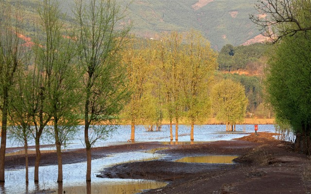 羊小咩享花卡额度套现方法详解_微信 还款花呗