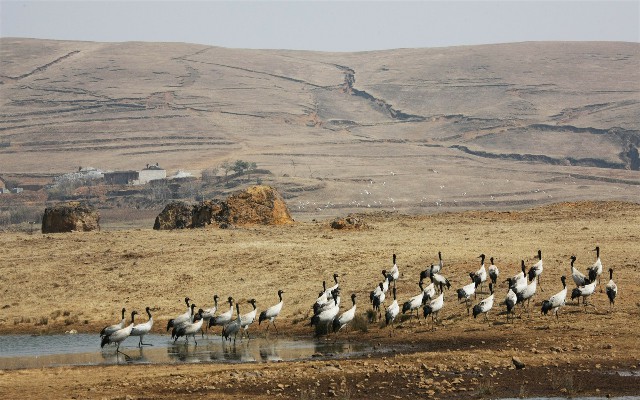 马云的花呗有什么套路吗_怎样把抖音月付额度提现出来