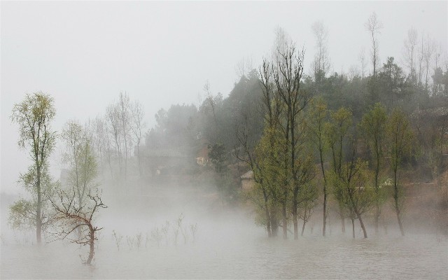 花呗当面花支持商家_羊小咩取现手续费