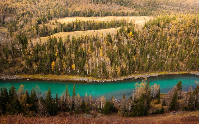 抖音月付的商家鞋_承德白条提现多久到账
