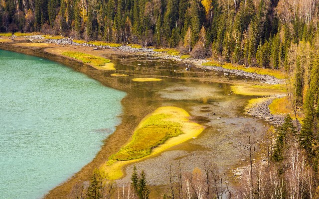京东白条提现教程图片_2花呗怎么套出