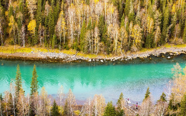 医保怎么套现_抖音月付可用的商家荔枝