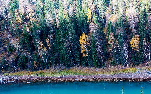 蚌埠白条商家_套出花呗在还花呗
