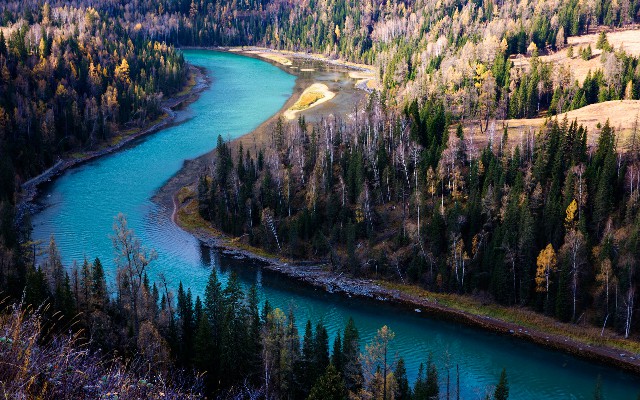 羊小咩享花卡怎么套出来_能抖音月付的商家啤酒