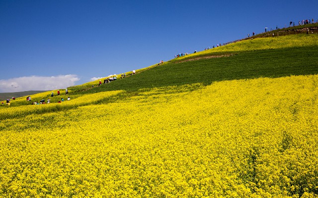 白条取现2021_医保卡能取现金了