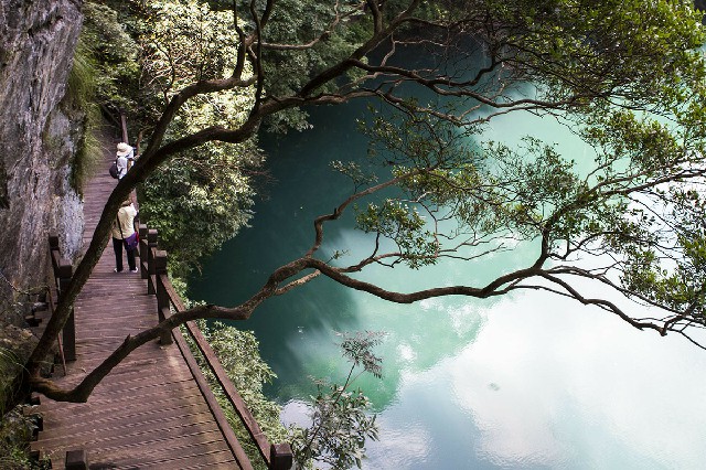 抖音月付自己怎么取现_上海医保可以转出吗