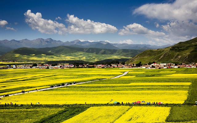 花呗逾期不能套_青岛提白条商家